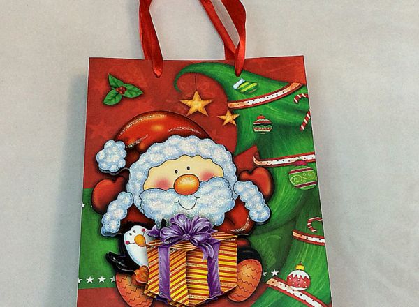 Gift bag 24x14x8 cm