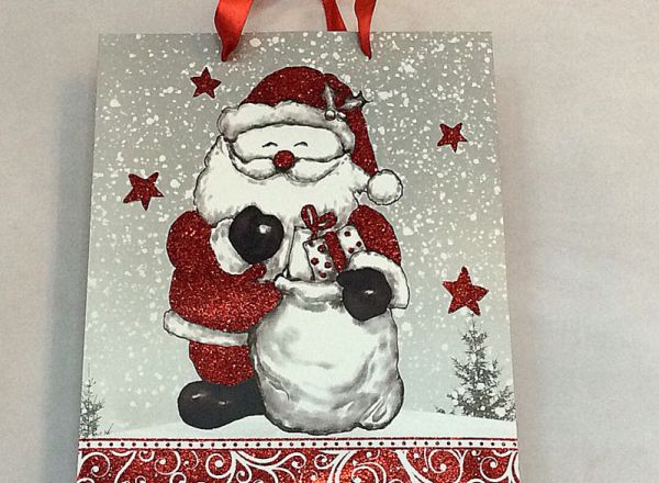 Gift bag 26x32x10 cm