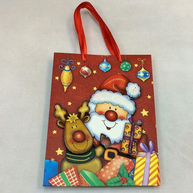 Gift bag 24x14x8 cm