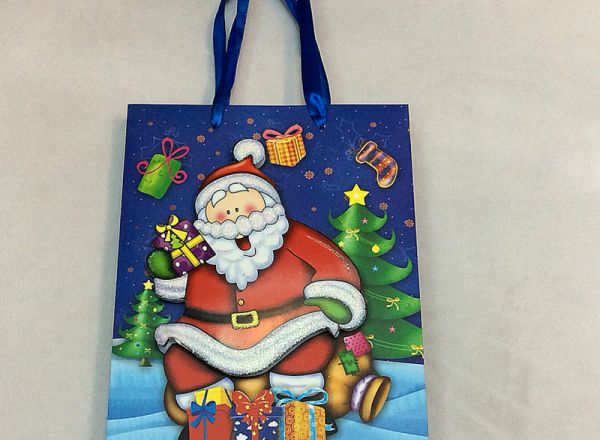 Gift bag 26x32x10 cm