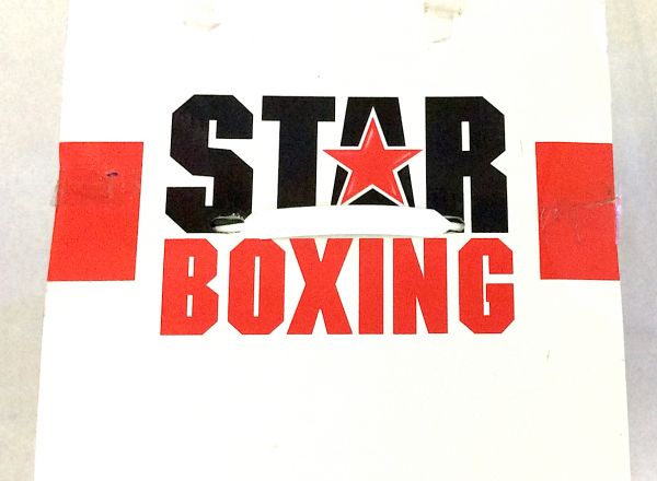 Star boxing play set