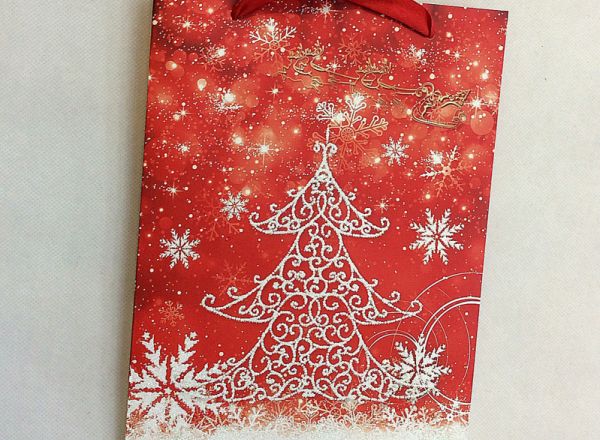 Gift bag 26x32x10cm