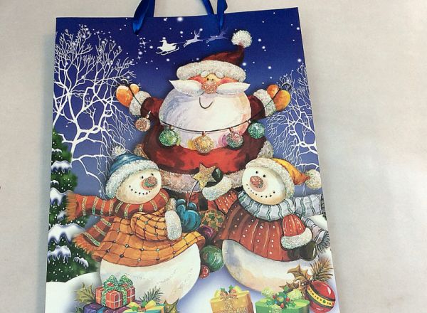 Gift bag 24x14x8 cm