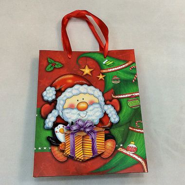 Gift bag 24x14x8 cm