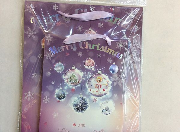 Gift bag 18x24x8cm