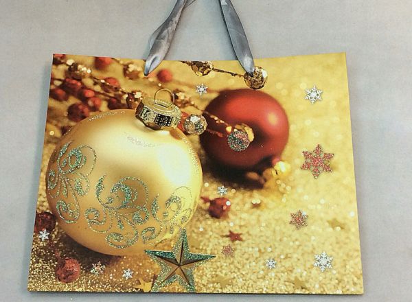 Gift bag 24x18x10cm