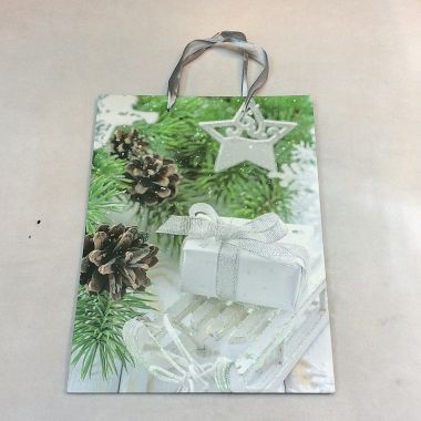 Gift bag 24x14x8 cm