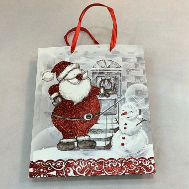 Gift bag 26x32x10 cm