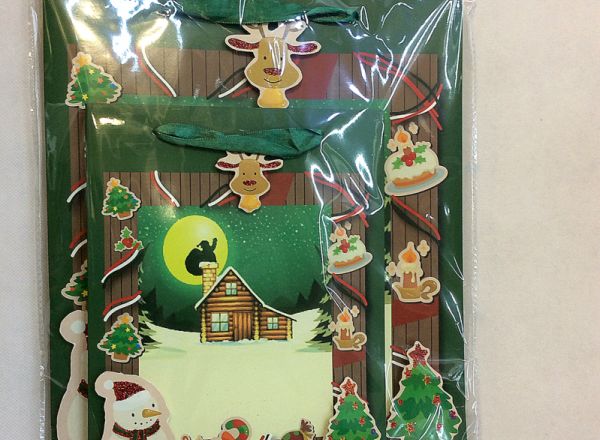 Gift bag 18x24x8cm