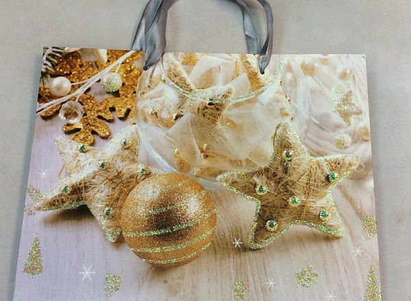 Gift bag 24x18x10cm
