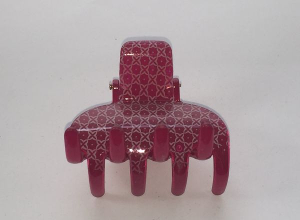 Hair clips (6129-L C5258270)