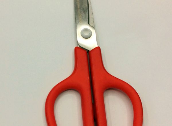 Scissors 17.2cm