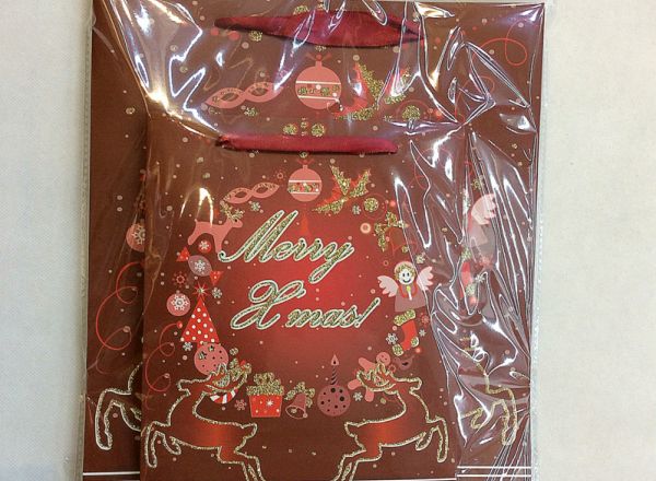 Gift bag 18x24x8cm