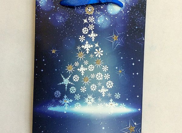 Gift bag 18x24x8cm