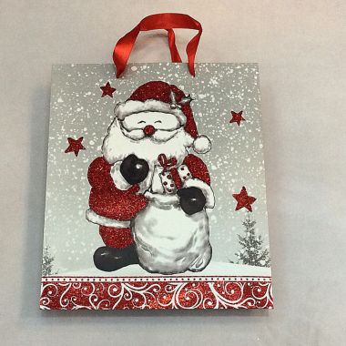 Gift bag 31x42x12 cm