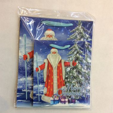 Gift bag 30x41.5x12cm