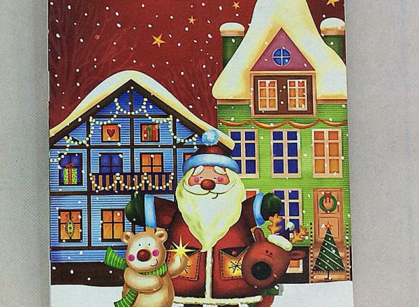 Gift bag 26x32x12cm