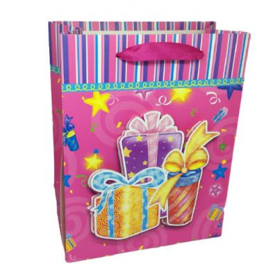 Gift bag 17.5x24x8cm