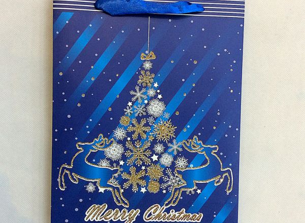Gift bag 26x32x10cm