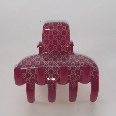 Hair clips (6129-L C5258270)
