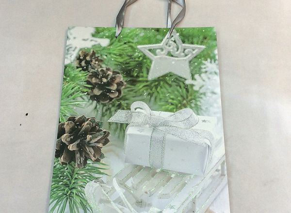 Gift bag 26x32x10 cm