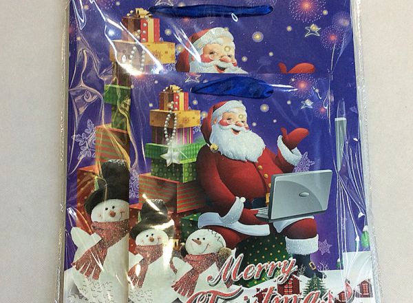 Gift bag 18x24x8cm