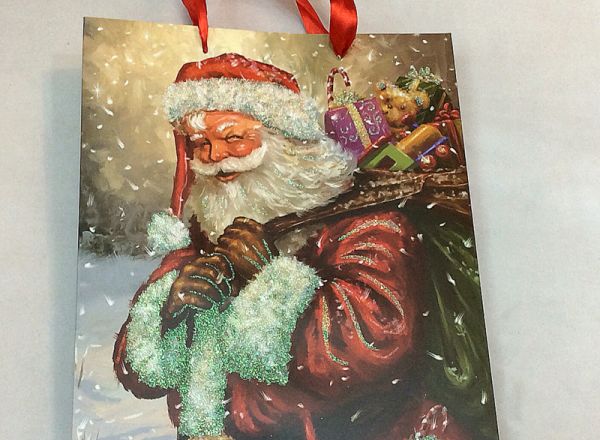 Gift bag 24x14x8 cm